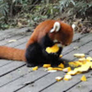 Meet your Posher, Sabrina